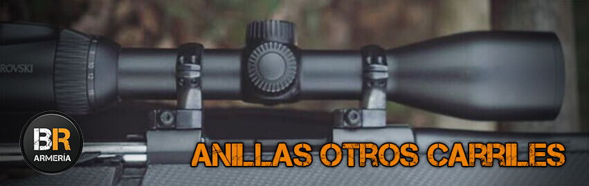 Anillas otros carriles Anillas otros carriles