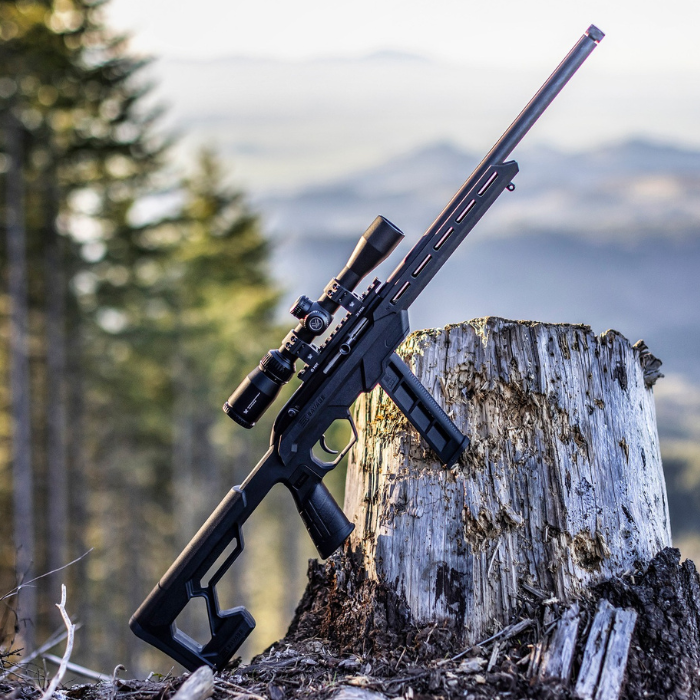 Carabinas .22 LR