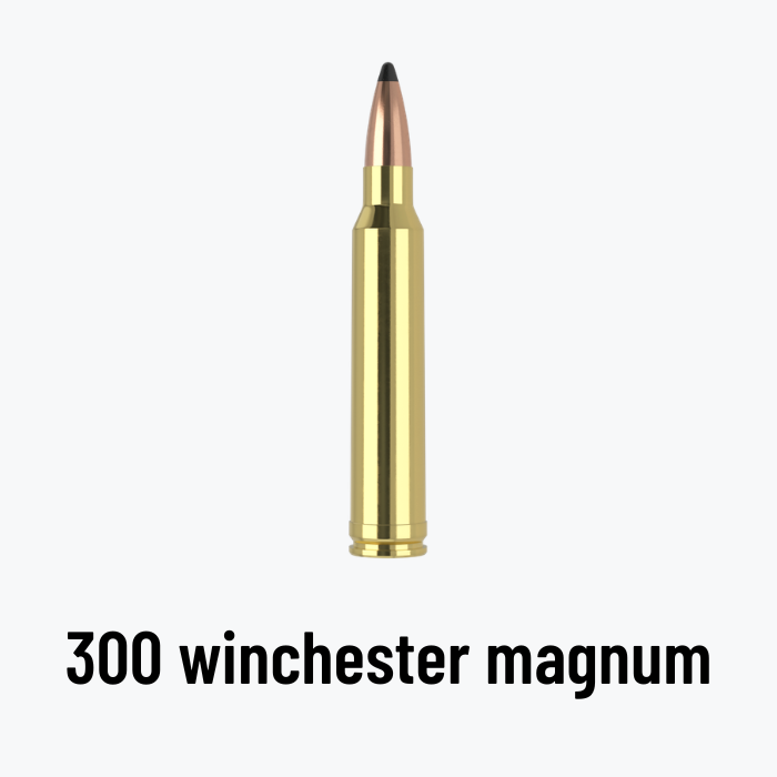 Munición 300 Winchester Magnum