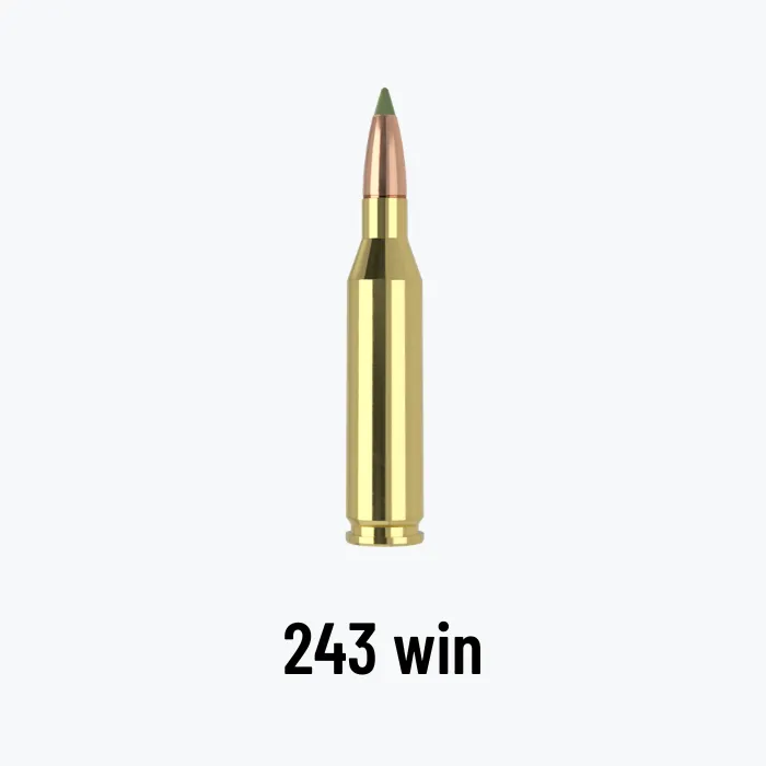 Munición 243 Win