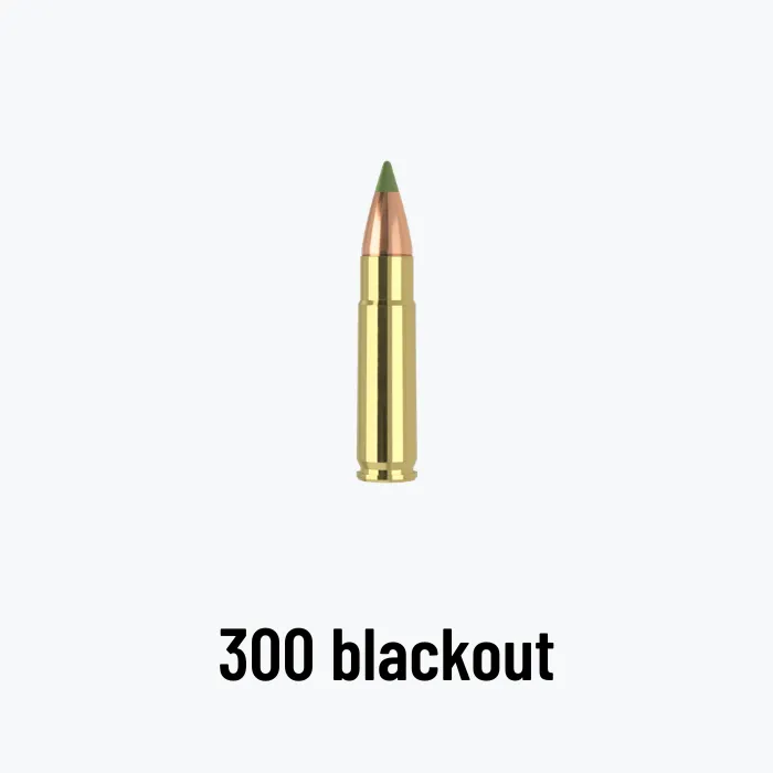 Munición 300 Blackout