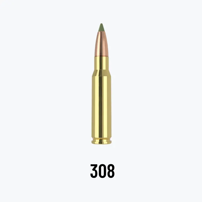 Munición 308 Win