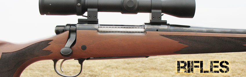 Rifles de caza, Compra Online