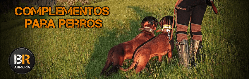 Complementos para perros