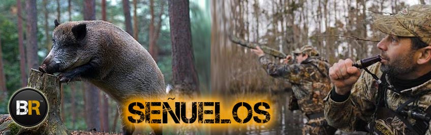 Reclamos y Señuelos Reclamos y Señuelos