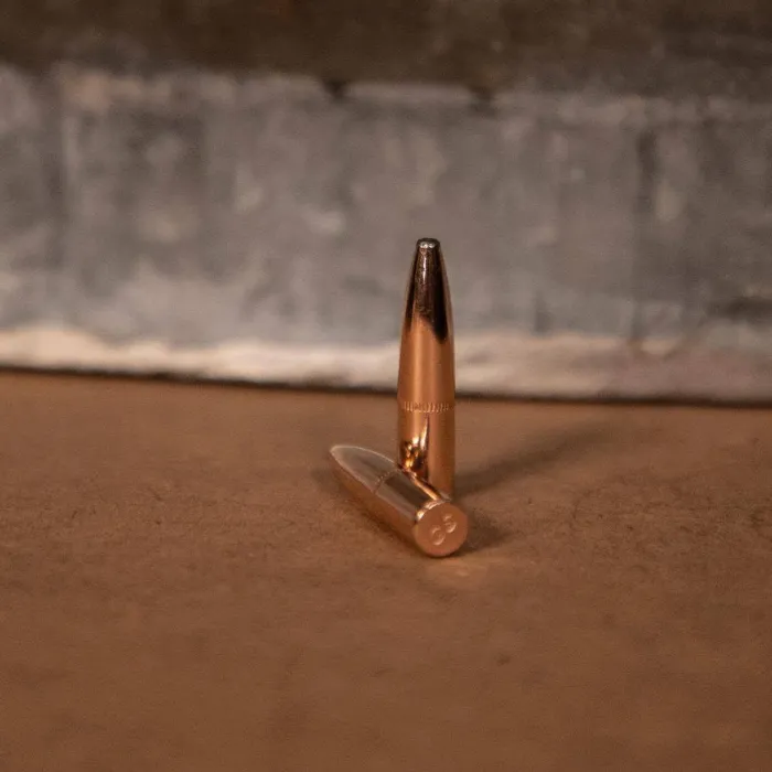 Projéteis arma longa