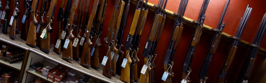 Rifles recomendados Rifles recomendados
