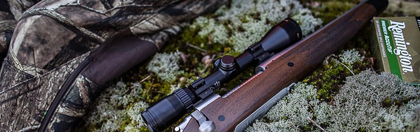 Rifles Remington Rifles Remington
