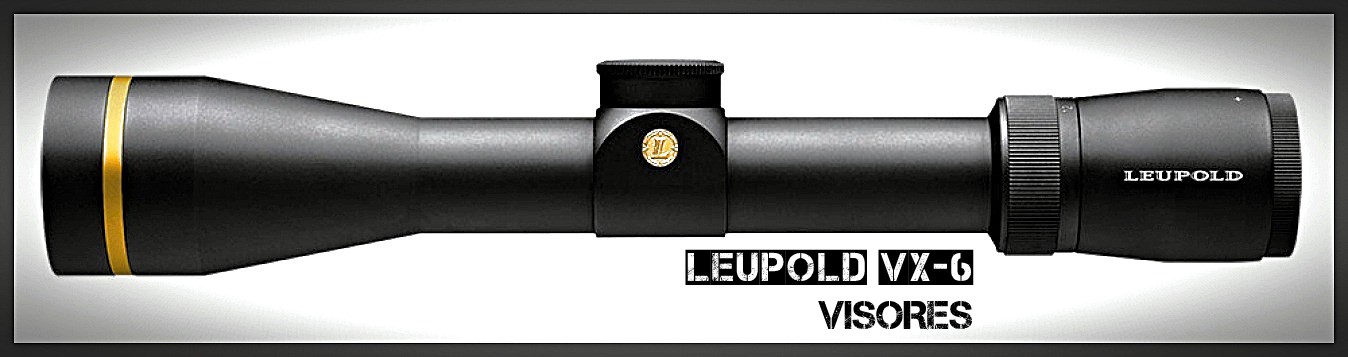 Visor Leupold VX-6