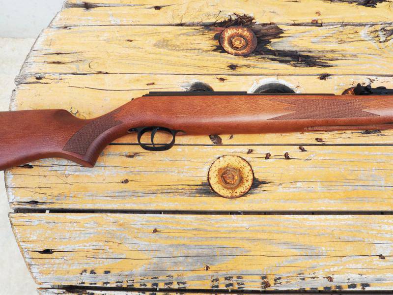 carabina-diana-460-magnum-5-6_2.jpg (800&times;600)