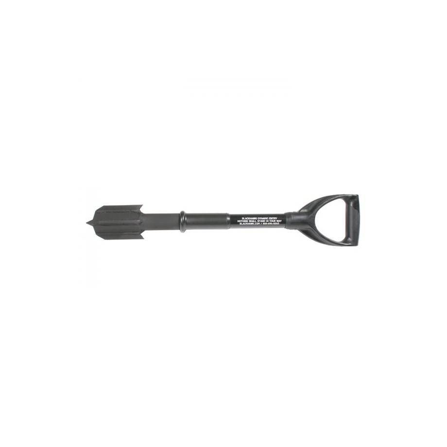 Dynamic Entry Mini