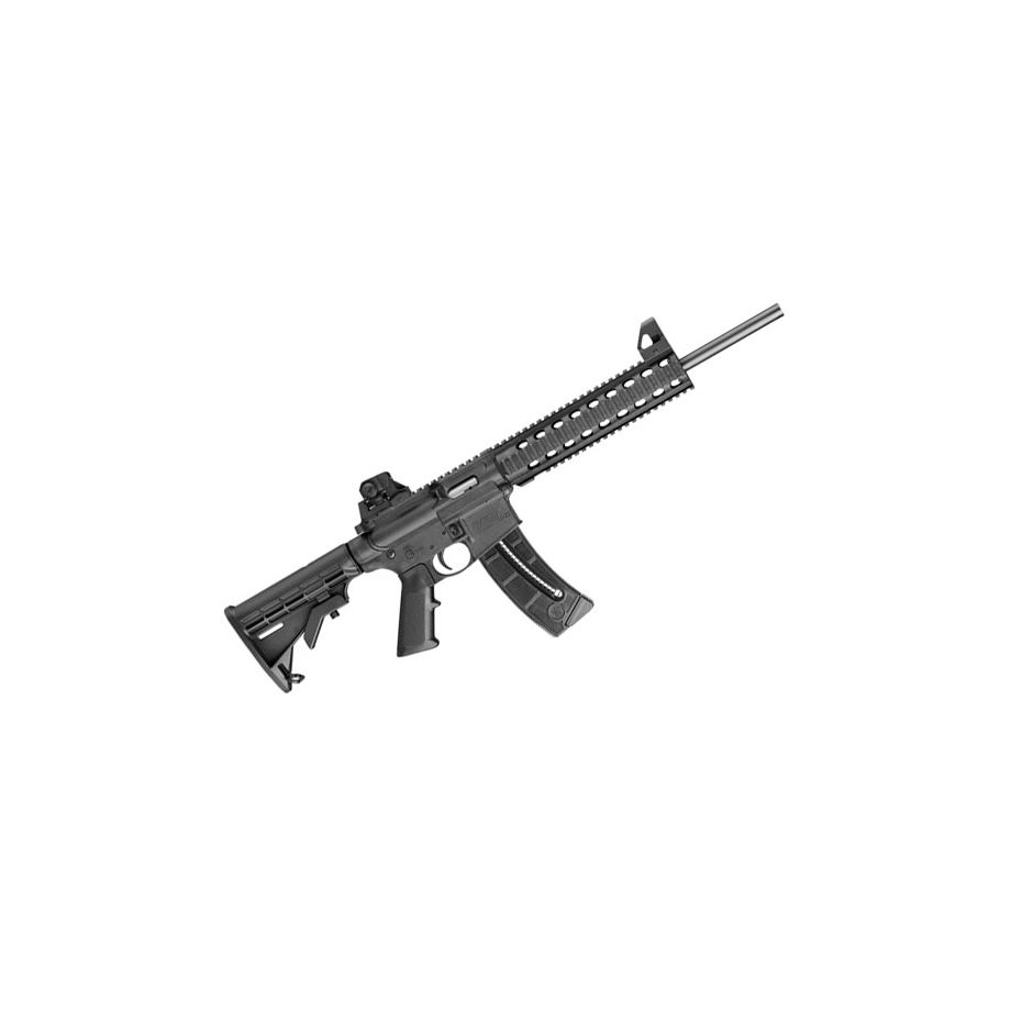 Carabina &amp; Wesson