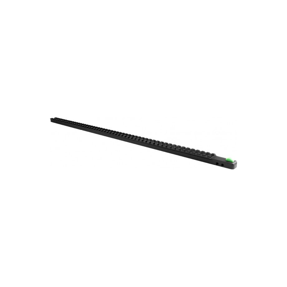 Carril Weaver/Picatinny para