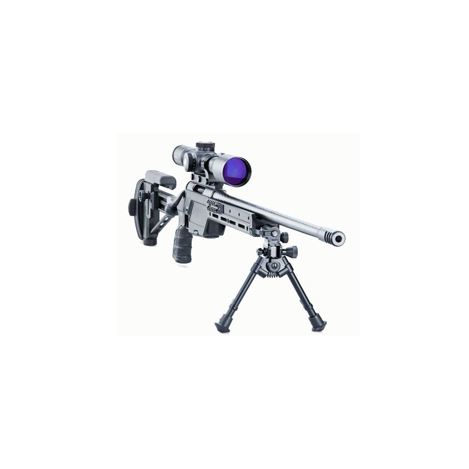 Rifle SSG 08