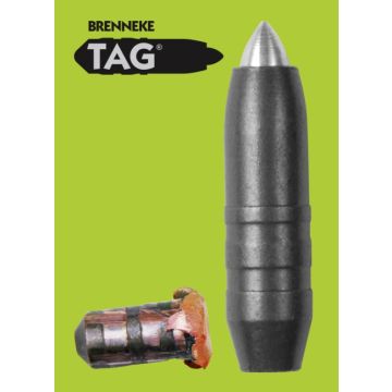 Puntas cal. 7mm (.284) 160gr TAG Brenneke 25u. imagen 1