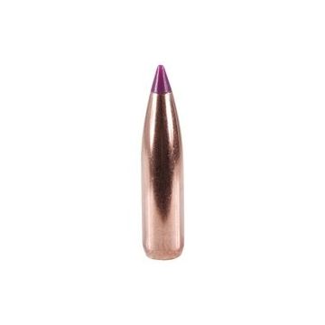 Puntas Cal. 243/6mm-095-Spitzer