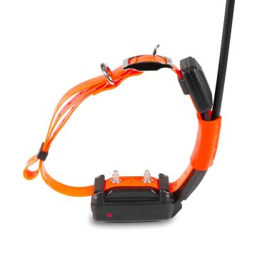 Collar GPS adicional para perros + educativo Dogtrace X25-T - corto