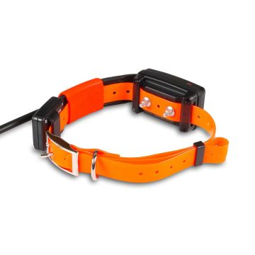 Collar GPS adicional para perros + educativo Dogtrace x30-T - corto
