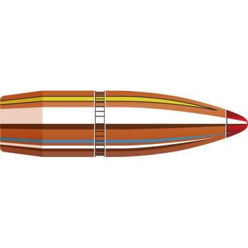 PUNTAS HORNADY FTX CAL 308 160 GRAINS - 100 UDS. imagen 1