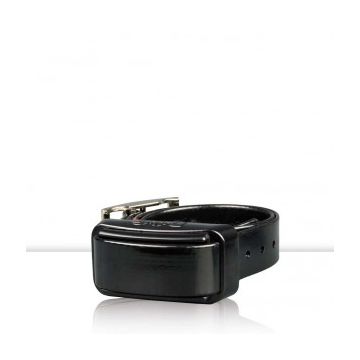 Collar adicional Dogtrace