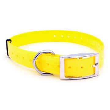 Collar para perro Polytec 25mm - Amarillo Fosforito
