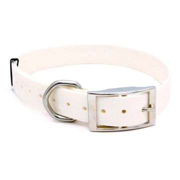 Collar para perro Polytec 25mm - Blanco
