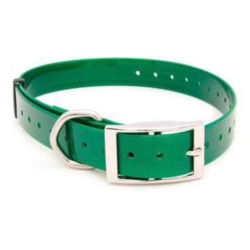 collar para perro "polytec" 25mm verde