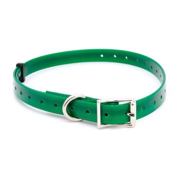 Collar para perro "Polytec" 38 mm Verde
