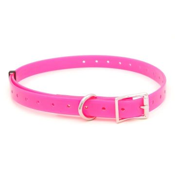 Collar para perro "Polytec" 50 mm Fucsia