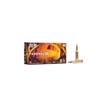 Munición Federal Fusion .243 Win - 95 grains