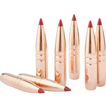Puntas Hornady 375 Cal .375 - 250 gr CX caja 50