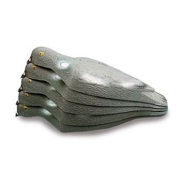 Reclamo siluetas palomas