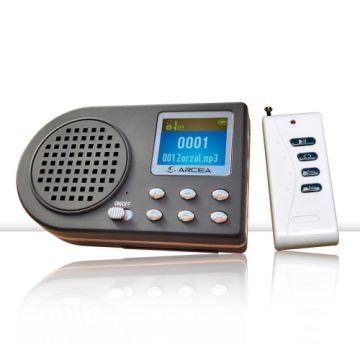 Reproductor MP3 de