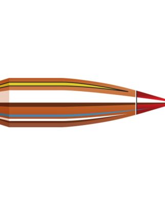 PUNTAS HORNADY V-MAX CAL .243 65 GRAINS - 100 UDS. imagen 1