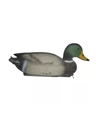 Reclamo pato macho imagen 2