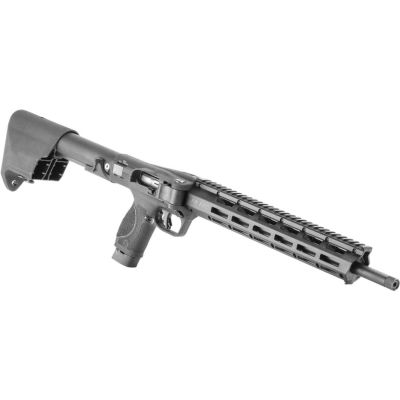 Carabina semiautom&aacute;tica Smith & Wesson M&P FPC - 22 LR
