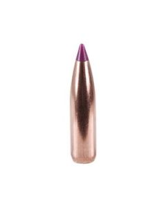 Puntas Cal. 243/6mm-095-Spitzer