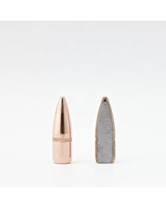PUNTAS HORNADY FMJ W/C CAL 224 55 GRAINS - 100 UDS. imagen 2