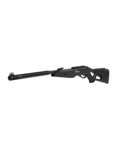 Carabina GAMO IGT Whisper Maxxim - 4,5 mm imagen 1