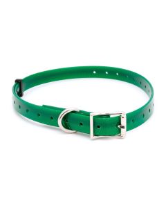 Collar para perro "Polytec" 38 mm Verde
