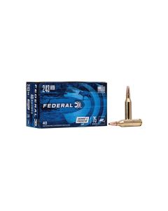 Munición Federal Varmint & Predator JHP 243 Win - 75 grains