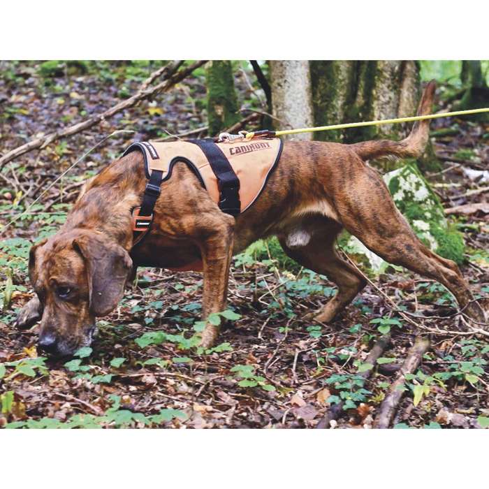 Arnés para perro de caza Caninhunt Signal 