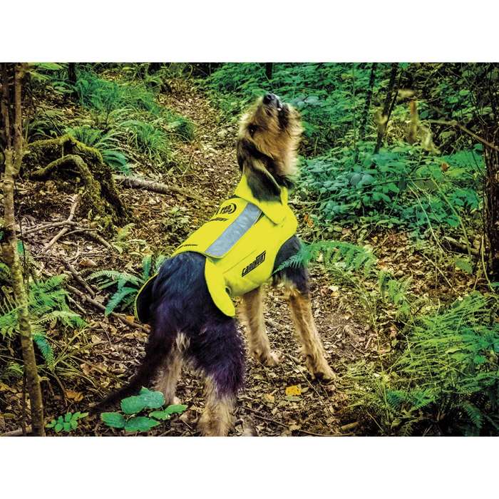 Chaleco de protección CaniHunt PRO para perros de caza