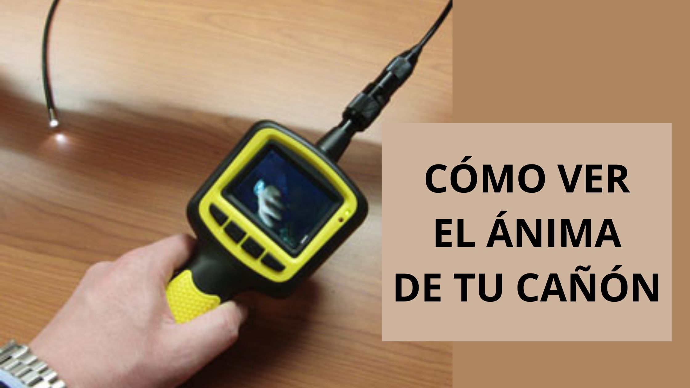 Como mirar el ánima del cañón