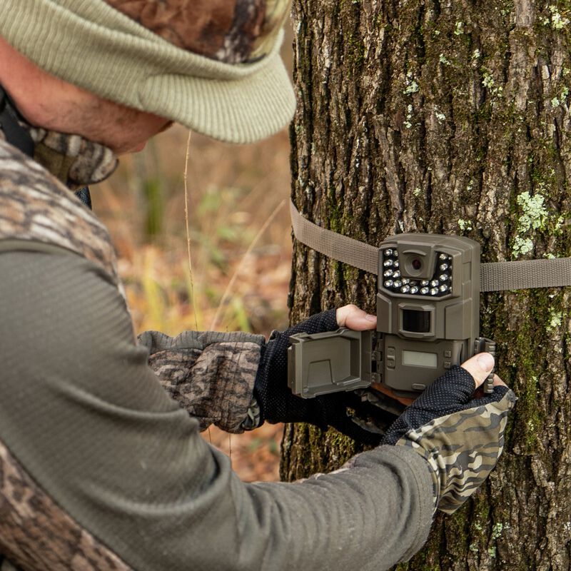 Las mejores cámaras de seguimiento fototrampeo Bushnell Core Low Glow