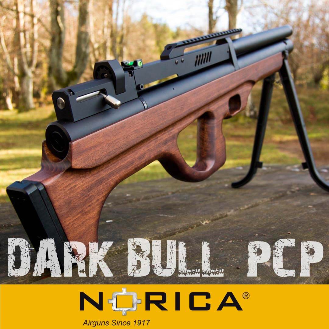 Carabina-Norica-Dark-Bull