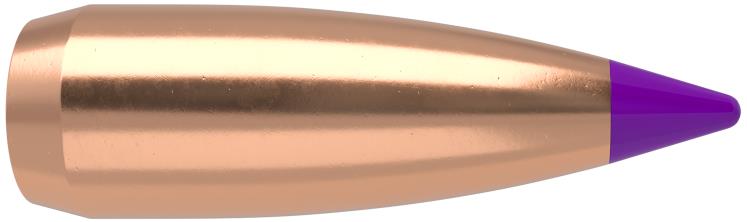 puntas nosler 6mm nosler ballistic tip 55gr