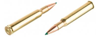 balas 300 win mag remington core lokt tipped