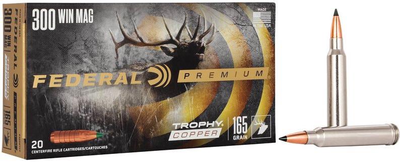 municion 300 winchester magnum