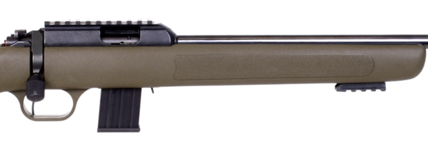 carabina 22lr diana classic